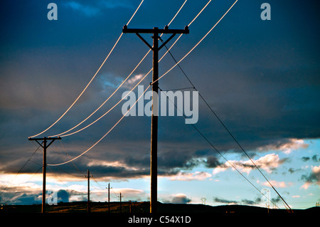 USA, New Mexico, electricity pylons and power lines on desert in afternoon light Stock Photo