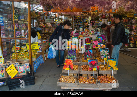 Bloemenmarkt the Singel flower market central Amsterdam the Netherlands Europe Stock Photo