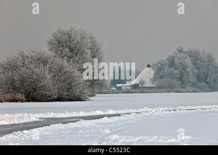 The Netherlands, Gaastmeer, Farm near frozen lake in frost and snow landscape. Stock Photo