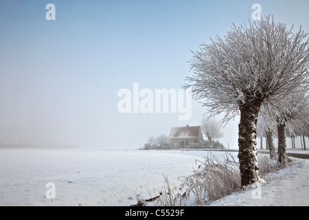 The Netherlands, Ferwoude, Country road, farm and willow trees in snow and frost. Stock Photo