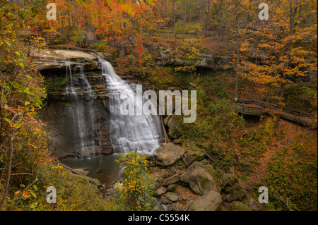 Waterfall in a forest, Akron, Ohio, USA Stock Photo