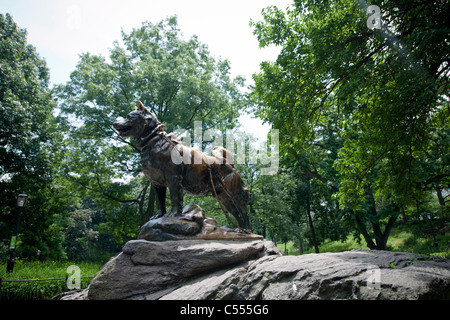 The statue of Balto the Iditarod Dog by the artist Frederick G. R. Roth in Central Park in New York Stock Photo