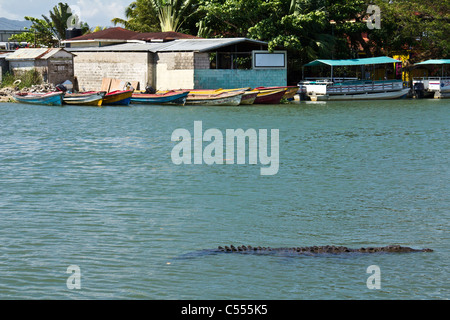 black river in Jamaica Stock Photo