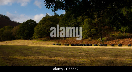 Field in the Lake District, harvested with bales of hay Stock Photo