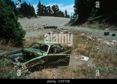 Bullet-riddled abandoned auto and littered trash dumped illegally on private beachfront property, Crescent City California US. Stock Photo