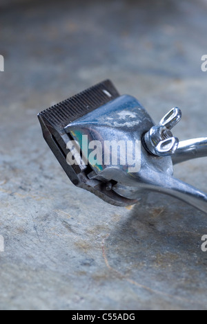 Old fashioned hair clippers Stock Photo