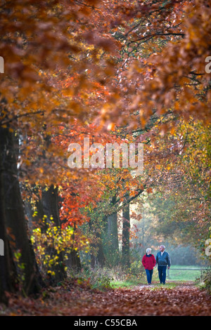 The Netherlands, Aalten, Autumn colours, trees, country road. Senior couple walking. Stock Photo