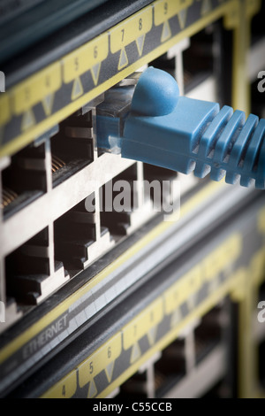 RJ45 Network Cable Plugged into Cisco Switch Stock Photo