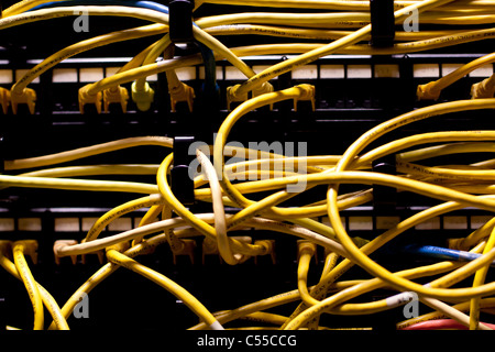 Cat 5e Network Cables Plugged into Patch Panels Stock Photo