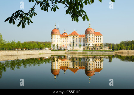 The Moritzburg castle near the Dresden in Germany Stock Photo