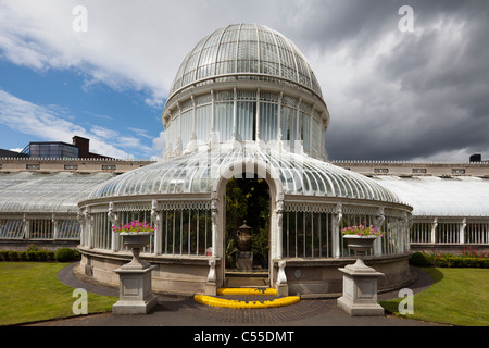 Palm House, Botanic Gardens, Belfast, Northern Ireland, UK Stock Photo