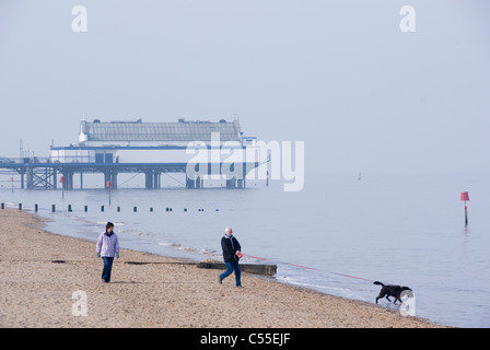 Walking the Dog on the Beach at Cleethorpes, South Humberside, UK Stock Photo