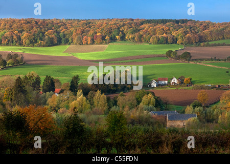 The Netherlands, Epen, Frame houses. Autumn colours. Stock Photo