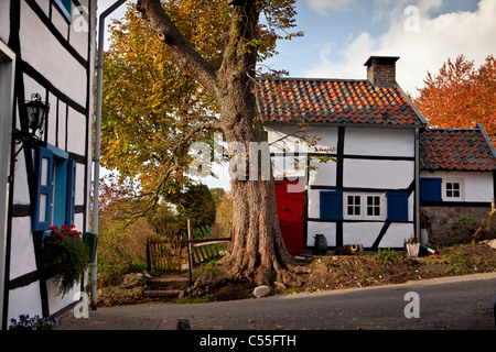 The Netherlands, Epen, Frame houses Stock Photo