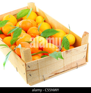 Fresh orange mandarins box,fruits isolated on white background, concept of harvest & healthy eating concept Stock Photo
