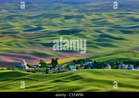 High angle view of a town, Palouse, Washington State, USA Stock Photo