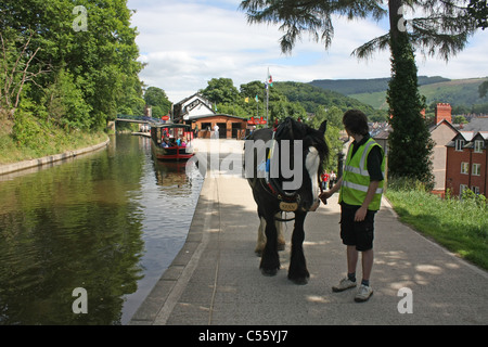 Horse drawn barge on Llangollen canal Stock Photo