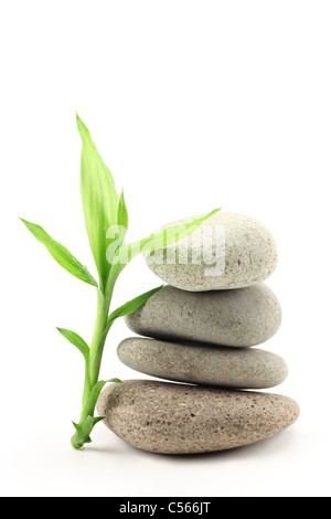 Bamboo leafs and zen stones isolated on white Stock Photo