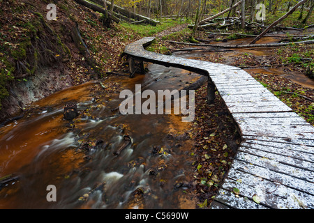 Nature trail via woodland and Vejupite river valley  in Gauja National Park Stock Photo