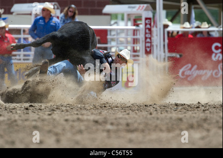 Steer wrestling Calgary Stampede Rodeo Stock Photo