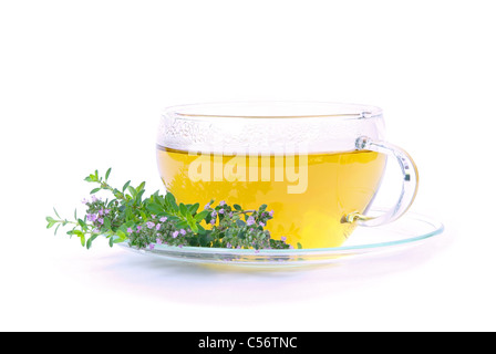 Tee Thymian - tea thymus 03 Stock Photo