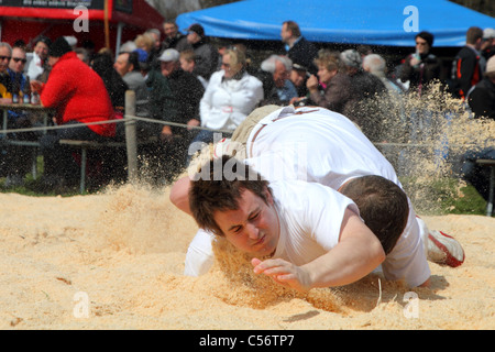 Swiss wrestling athletes fight for victory by throwing their opponent on his back Stock Photo