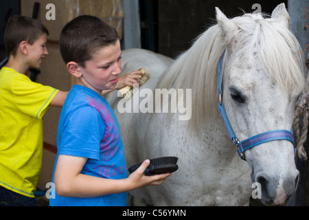 Brothers grooming white Horse or Pony, Southport, Merseyside, UK Stock Photo