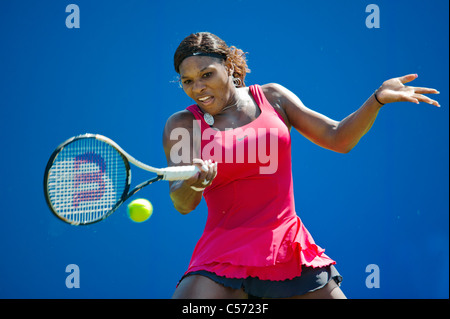 Aegon International tennis tournament, Eastbourne 2011, East Sussex. Serena Williams of USA. Stock Photo