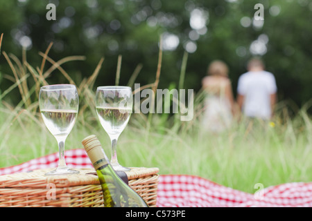 https://l450v.alamy.com/450v/c573pe/glasses-of-wine-at-picnic-c573pe.jpg