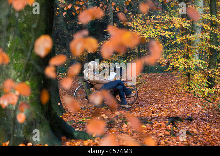 The Netherlands, Denekamp, Estate Singraven. Autumn colours. Woman, cyclist looking at map in forest, relaxing on bench. Stock Photo