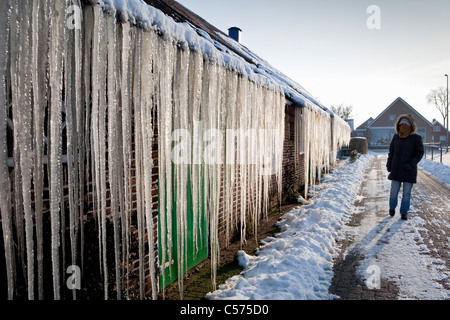The Netherlands, Staphorst, Winter, Icicles on farm roof Stock Photo