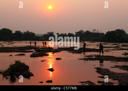 A group of men make an illegal border crossing over a ford in the Zambazi River between Zambia and Zimbabwe. Stock Photo