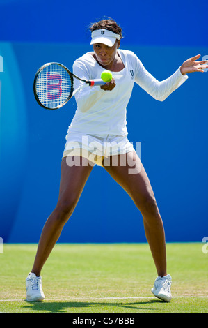 AEGON International 2011, Eastbourne, East Sussex, England, UK. Venus Williams in action. Stock Photo