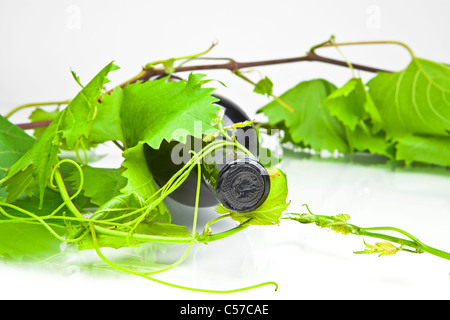 A bottle of red wine with leaves and tendrils Stock Photo