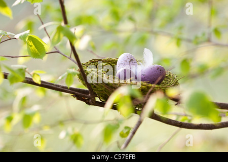 Speckled eggs in bird’s nest Stock Photo