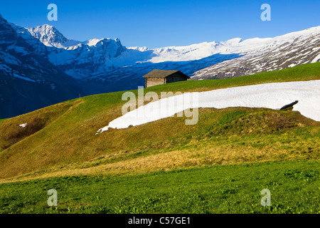 Camana, Switzerland, Europe, canton Graubunden, grisons, valley of Safien, mountains, alp, stable, snow rest, spring Stock Photo