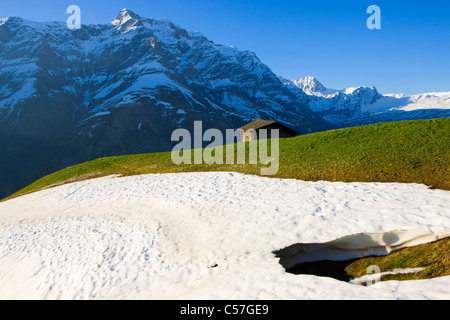 Camana, Switzerland, Europe, canton Graubunden, grisons, valley of Safien, mountains, alp, stable, snow rest, spring Stock Photo