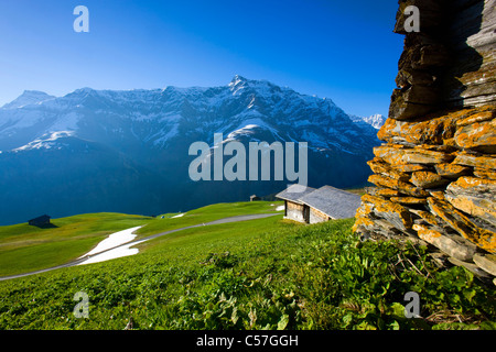 Camana, Switzerland, Europe, canton Graubunden, grisons, valley of Safien, mountains, alp, stables, snow rest, spring, way Stock Photo