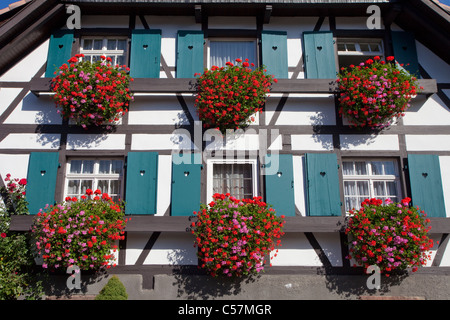 Fassade von einem Bauernhaus, Facherkhaus in Sasbachwalden, Facade of a half-timbered house with flower decoration Stock Photo