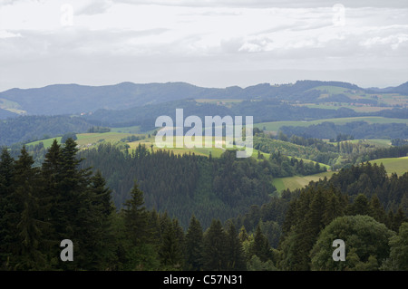A green landscape with pine trees and hills in Schwarzwald, Baden-Wurttemberg, Germany Stock Photo