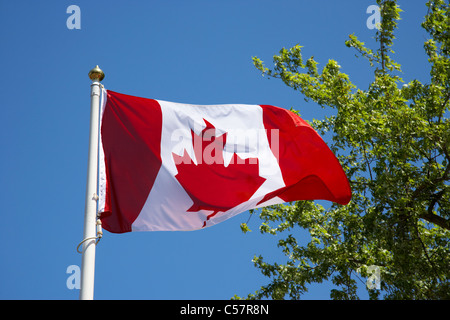 canadian maple leaf flag flying on the maid of the mist niagara falls ...