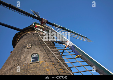 The Netherlands, Kinderdijk, Windmills, Unesco World Heritage Site. Miller with wooden shoes on vane. Stock Photo