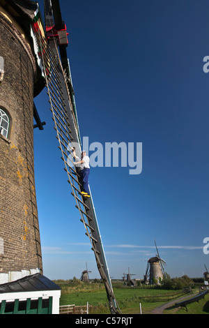 The Netherlands, Kinderdijk, Windmills, Unesco World Heritage Site. Miller with wooden shoes on vane. Stock Photo