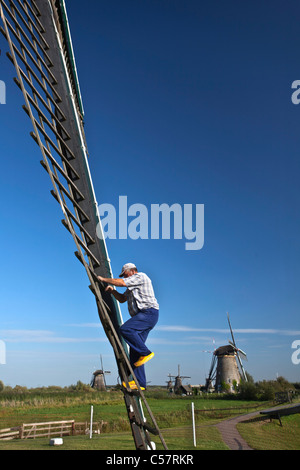 The Netherlands, Kinderdijk, Windmills, Unesco World Heritage Site. Miller with wooden shoes on vane. Stock Photo