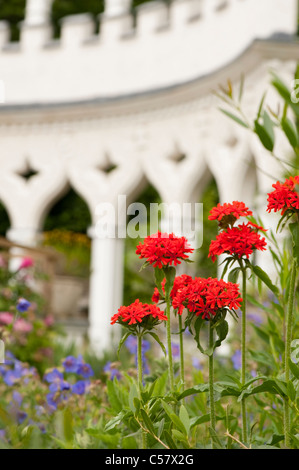 Lychnis chalcedonica, Maltese Cross Flower, with Geranium pratense and the exedra in the background, Painswick Rococo Garden Stock Photo