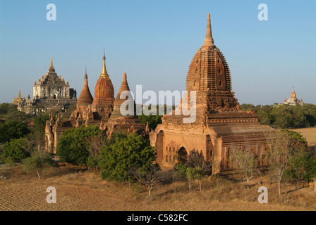 Asia, Burma, Myanmar, Bagan, Old Bagan, temple, Thatbyinnyu, religion, pagoda Stock Photo