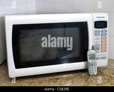 lumina convection microwave