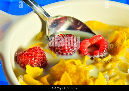 Fresh raspberries in with cereal and milk. Stock Photo
