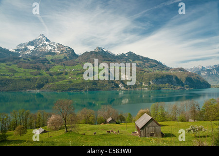 Walensee Spring Betlis, Amden, canton St. Gallen, Switzerland, Serenbach, waterfalls ...