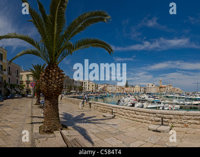 Italy, Europe, Port, harbour, Trani, Puglia, city, village, water, spring, people, ships, boat, Stock Photo